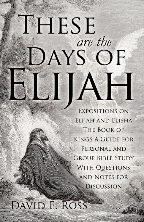 Produktbild: These Are the Days of Elijah