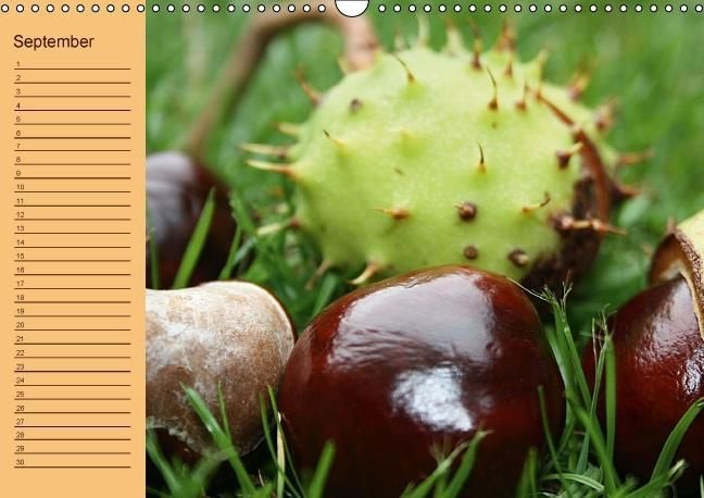Produktbild: Geburtstagskalender (Wandkalender immerw&auml;hrend DIN A3 quer)