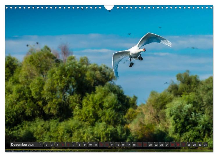 Produktbild: Das Paradies Donaudelta (Wandkalender 2026 DIN A3 quer), CALVENDO Monatskalender
