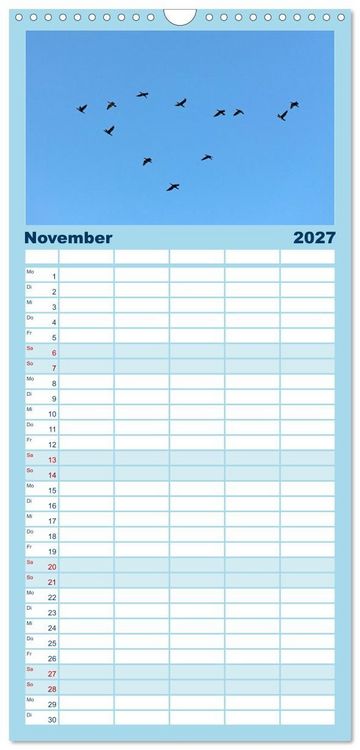 Produktbild: Familienplaner 2027 - V&ouml;gel im Flug - Akrobaten der L&uuml;fte mit 5 Spalten (Wandkalender, 21 x 45 cm) CALVENDO