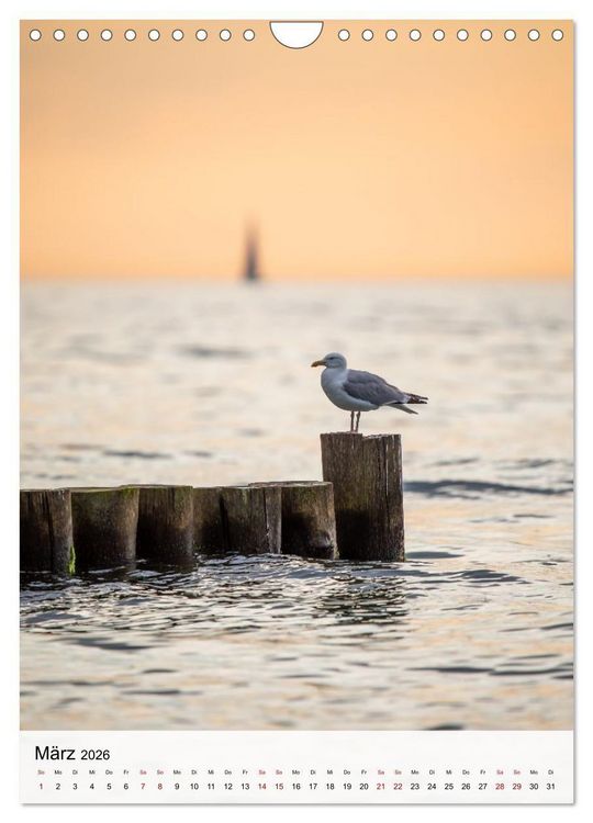 Produktbild: Fischland-Dar&szlig;-Zingst - Im Licht des Nordens (Wandkalender 2026 DIN A4 hoch), CALVENDO Monatskalender