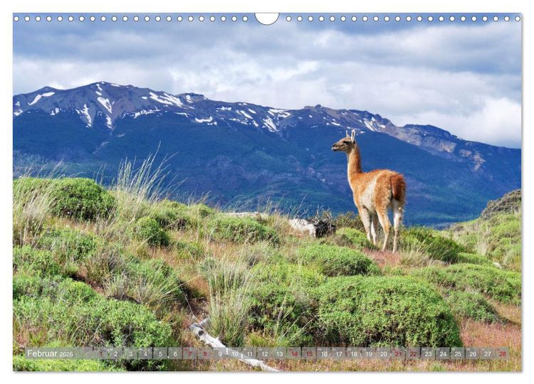 Produktbild: Der Kleine S&uuml;den von Chile (Wandkalender 2026 DIN A3 quer), CALVENDO Monatskalender