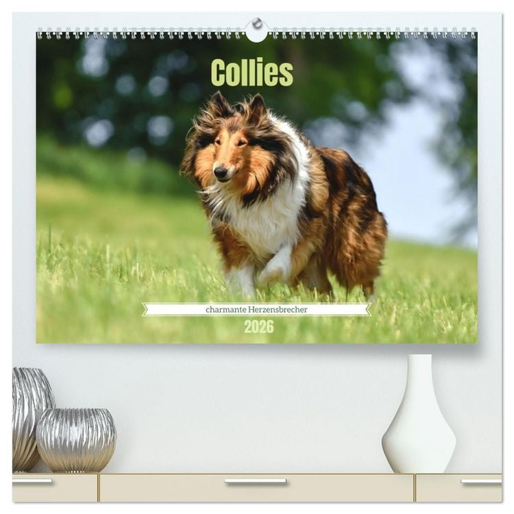 Produktbild: Collies - charmante Herzensbrecher (hochwertiger Premium Wandkalender 2026 DIN A2 quer), Kunstdruck in Hochglanz