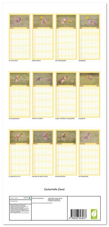 Produktbild: Familienplaner 2026 - Zauberhafte Ziesel mit 5 Spalten (Wandkalender, 21 x 45 cm) CALVENDO