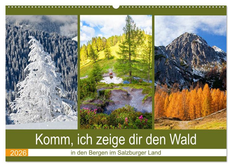 Produktbild: Komm, ich zeige dir den Wald (Wandkalender 2026 DIN A2 quer), CALVENDO Monatskalender