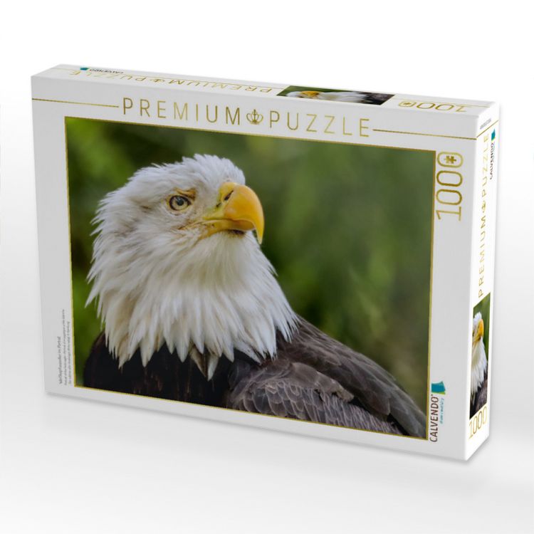 Produktbild: CALVENDO Puzzle Wei&szlig;kopfseeadler im Portr&auml;t | 1000 Teile Lege-Gr&ouml;&szlig;e 64x48cm Foto-Puzzle f&uuml;r gl&uuml;ckliche Stunden