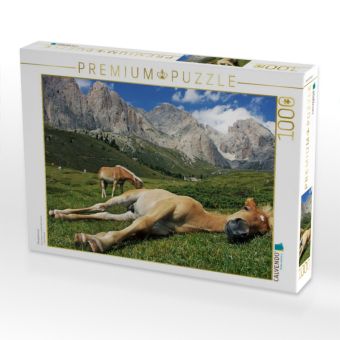 Produktbild: CALVENDO Puzzle Pferdehimmel | 1000 Teile Lege-Gr&ouml;&szlig;e 64x48cm Foto-Puzzle f&uuml;r gl&uuml;ckliche Stunden