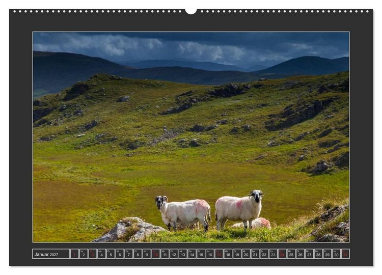 Produktbild: IRLAND - Insel der gl&uuml;cklichen Schafe (Wandkalender 2027 DIN A2 quer), CALVENDO Monatskalender