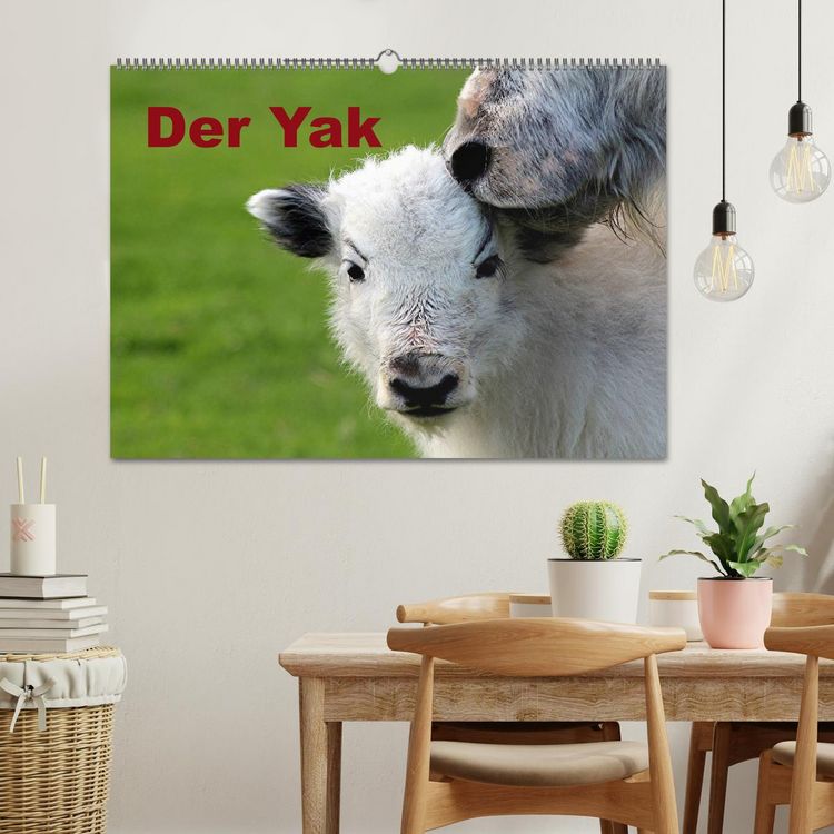 Produktbild: Der Yak (Wandkalender 2026 DIN A2 quer), CALVENDO Monatskalender