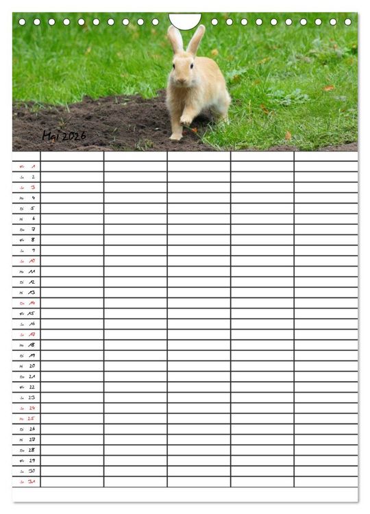 Produktbild: Meerschweinchen und Kaninchen Familienplaner (Wandkalender 2026 DIN A4 hoch), CALVENDO Monatskalender