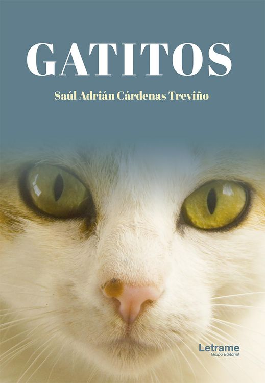 Produktbild: Gatitos