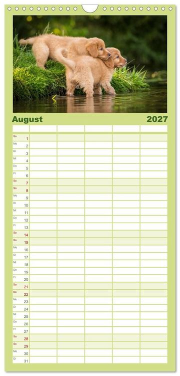 Produktbild: Familienplaner 2027 - Toller - Nova Scotia Duck Tolling Retriever mit 5 Spalten (Wandkalender, 21 x 45 cm) CALVENDO