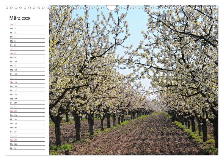 Produktbild: Vier Jahreszeiten im Land Brandenburg (Wandkalender 2026 DIN A3 quer), CALVENDO Monatskalender
