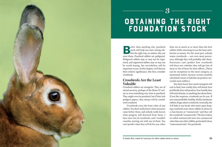 Produktbild: Storey's Guide to Raising Rabbits, 5th Edition
