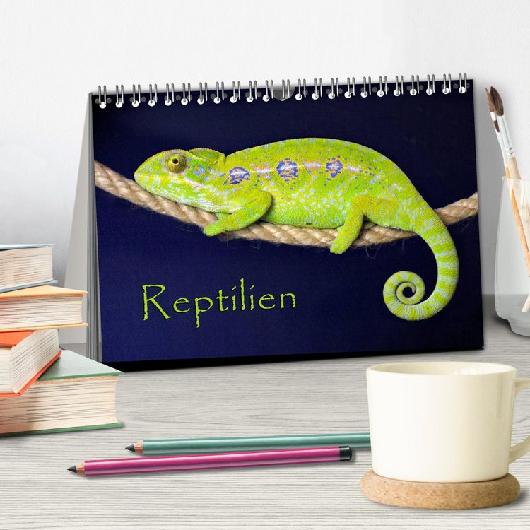 Produktbild: Reptilien (Tischkalender 2026 DIN A5 quer), CALVENDO Monatskalender