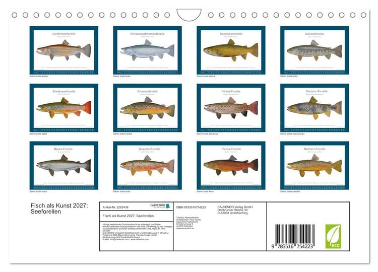 Produktbild: Fisch als Kunst 2027: Seeforellen (Wandkalender 2027 DIN A4 quer), CALVENDO Monatskalender
