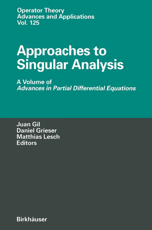 Produktbild: Approaches to Singular Analysis