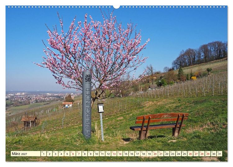 Produktbild: Bensheim an der Bergstra&szlig;e Mandelbl&uuml;te, Wein und Fachwerk (Wandkalender 2027 DIN A2 quer), CALVENDO Monatskalender