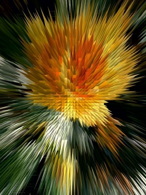 Produktbild: CALVENDO Puzzle Flower Explosion Flower Explosion X PHOTO ART&deg; V PHOTO ART&deg; by Rosemarie Hofer | 1000 Teile Lege-Gr&ouml;&szlig;e 64x48cm Foto-Puzzle f&uuml;r gl&uuml;ckliche Stunden