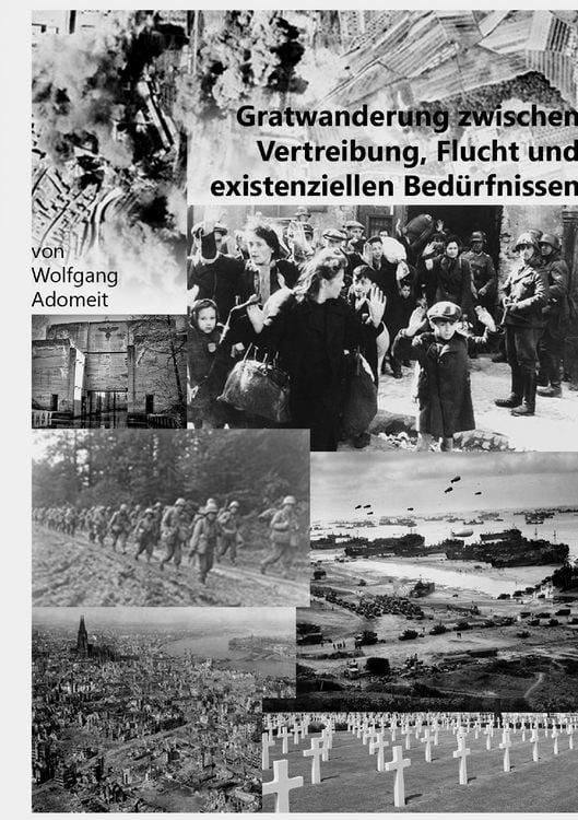 Produktbild: Gratwanderung zwischen Vertreibung, Flucht und existentiellen Bed&uuml;rfnissen
