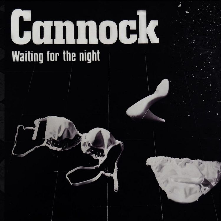Produktbild: Waiting For The Night