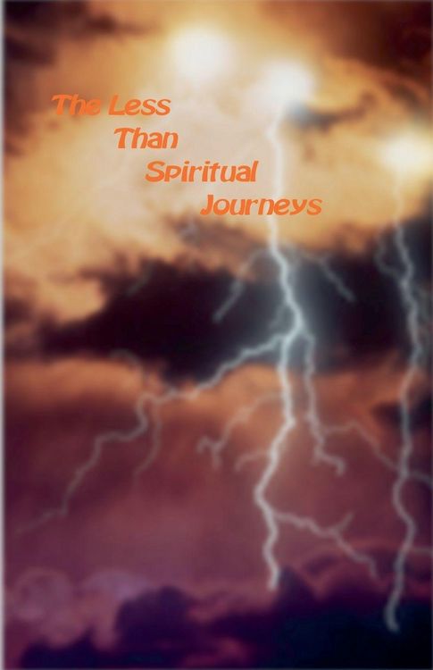 Produktbild: The Less Than Spiritual Journies