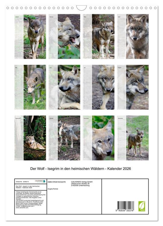 Produktbild: Der Wolf - Isegrim in den heimischen W&auml;ldern - Kalender 2026 (Wandkalender 2026 DIN A3 hoch), CALVENDO Monatskalender