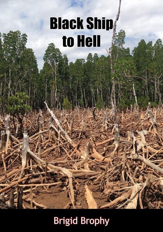 Produktbild: Black Ship to Hell