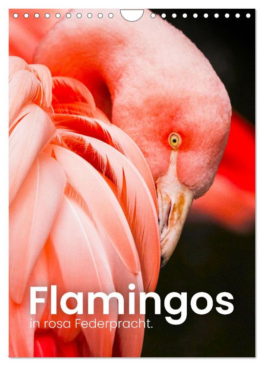 Produktbild: Flamingos in rosa Federpracht. (Wandkalender 2026 DIN A4 hoch), CALVENDO Monatskalender