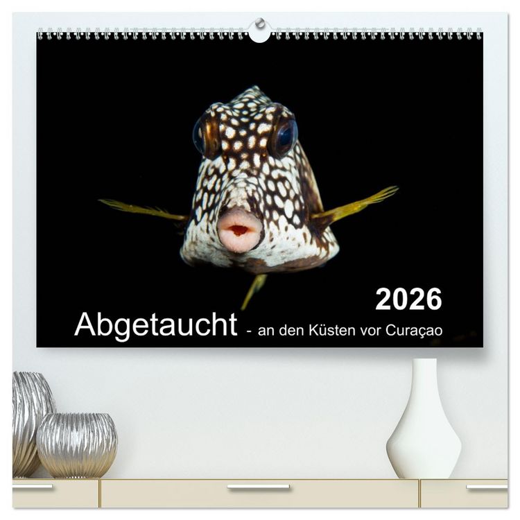 Produktbild: Abgetaucht - an den K&uuml;sten vor Cura&ccedil;ao (hochwertiger Premium Wandkalender 2026 DIN A2 quer), Kunstdruck in Hochglanz