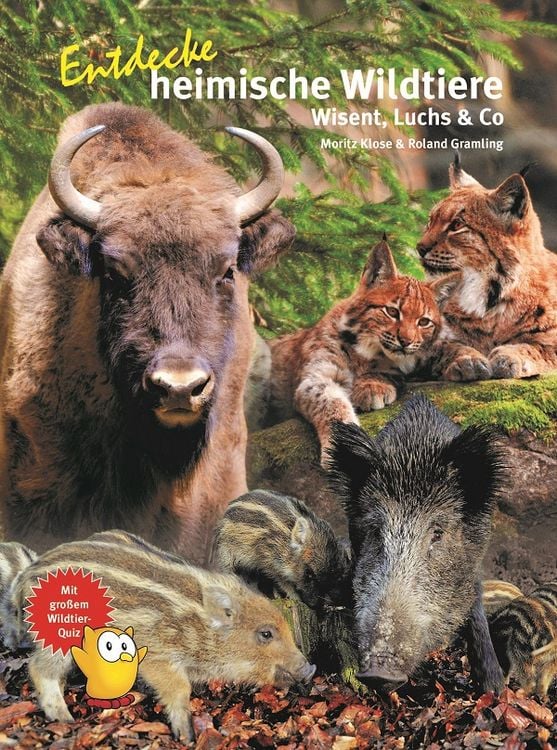 Produktbild: Entdecke heimische Wildtiere