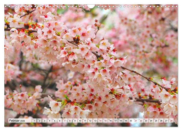 Produktbild: Japan das Land der aufgehenden Sonne (Wandkalender 2026 DIN A3 quer), CALVENDO Monatskalender