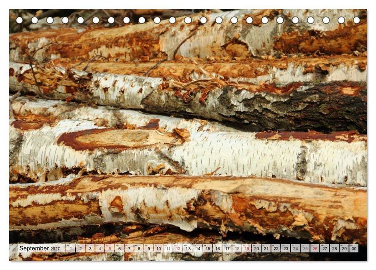 Produktbild: HOLZ - Stapel und St&auml;mme (Tischkalender 2027 DIN A5 quer), CALVENDO Monatskalender