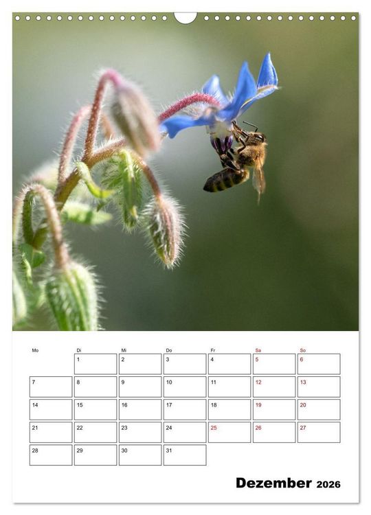 Produktbild: Hummeln und Bienen Terminplaner (Wandkalender 2026 DIN A3 hoch), CALVENDO Monatskalender