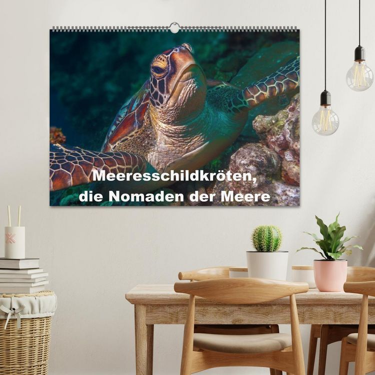 Produktbild: Meeresschildkr&ouml;ten, die Nomaden der Meere (Wandkalender 2026 DIN A2 quer), CALVENDO Monatskalender