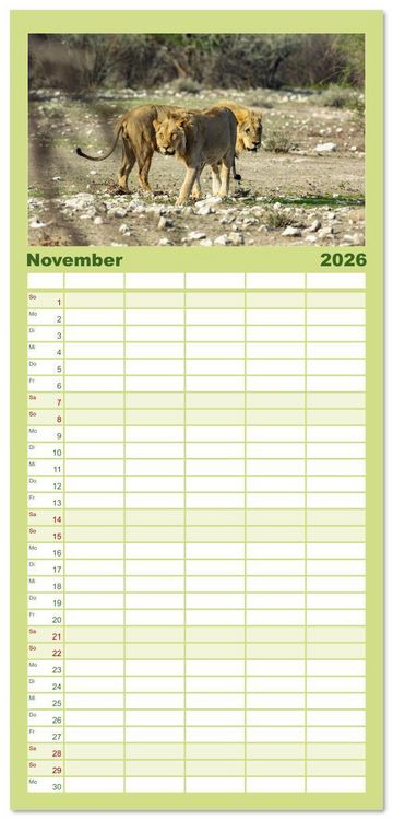 Produktbild: Familienplaner 2026 - Afrika - Namibia mit 5 Spalten (Wandkalender, 21 x 45 cm) CALVENDO