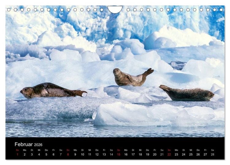 Produktbild: FASZINATION ALASKA Expedition durch die Inside Passage (Wandkalender 2026 DIN A4 quer), CALVENDO Monatskalender