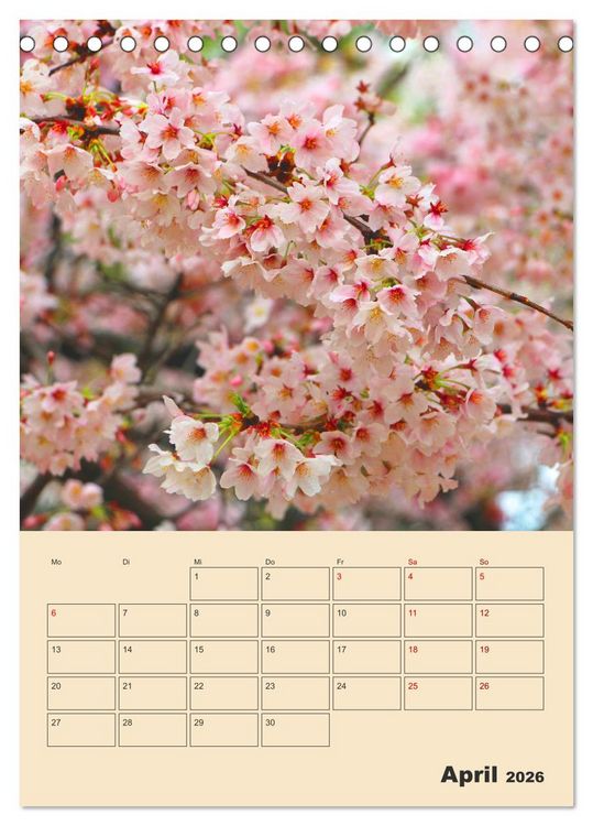 Produktbild: Tokio - Terminplaner (Tischkalender 2026 DIN A5 hoch), CALVENDO Monatskalender