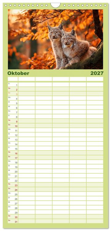 Produktbild: Familienplaner 2027 - Waldgefl&uuml;ster mit 5 Spalten (Wandkalender, 21 x 45 cm) CALVENDO