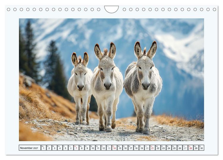 Produktbild: Sanfte Eselpoesie. Momente zwischen Bergwelt und Meer (Wandkalender 2027 DIN A4 quer), CALVENDO Monatskalender