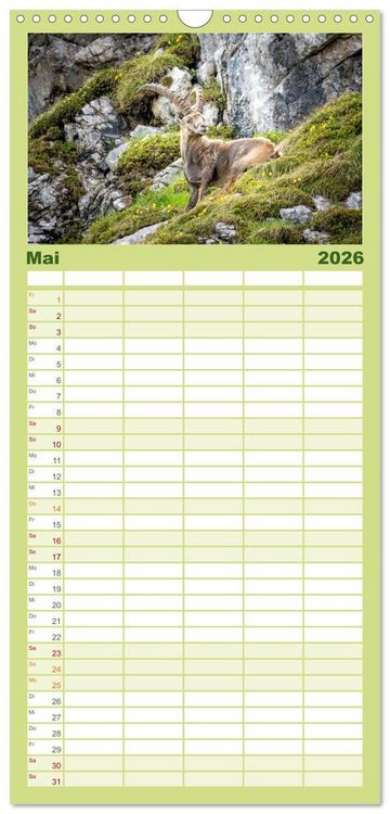Produktbild: Familienplaner 2026 - Steinb&ouml;cke - Majest&auml;tische Tiere der Alpen mit 5 Spalten (Wandkalender, 21 x 45 cm) CALVENDO