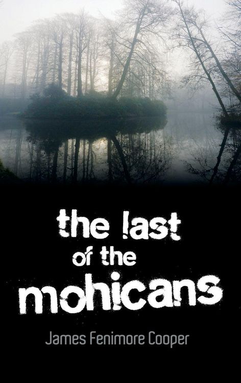 Produktbild: The Last of the Mohicans