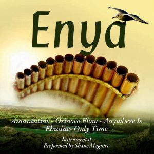 Produktbild: Shame Maguire: Panpipe Plays Enya