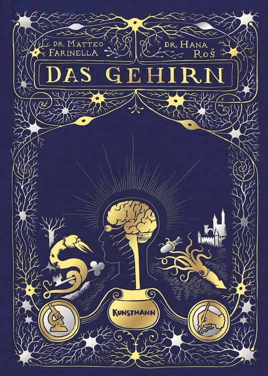 Produktbild: Das Gehirn