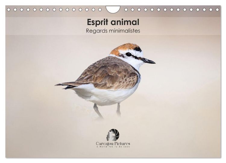 Produktbild: Esprit animal - Regards minimalistes (Calendrier mural 2026 DIN A4 vertical), CALVENDO calendrier mensuel