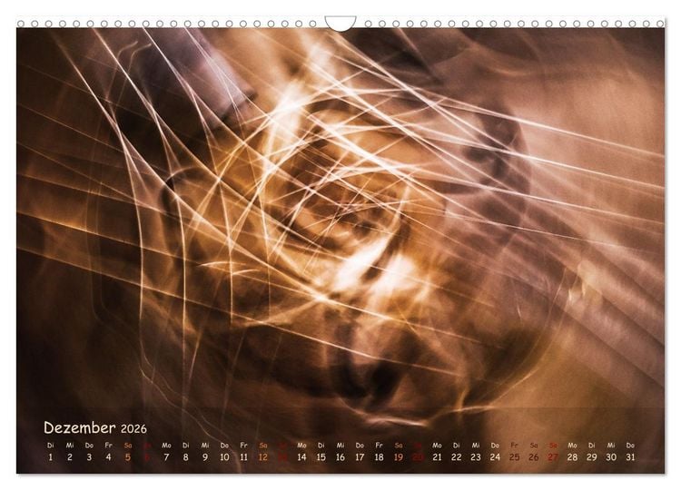 Produktbild: Was die Geige uns erz&auml;hlt (Wandkalender 2026 DIN A3 quer), CALVENDO Monatskalender