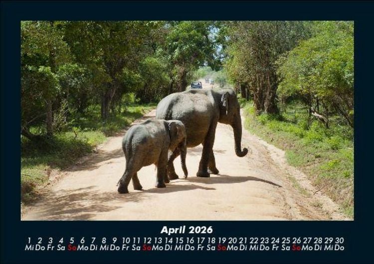 Produktbild: Der Elefantenkalender 2026 Fotokalender DIN A5