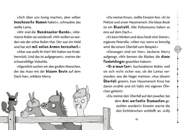Produktbild: Nussknacker-Bande 1: Drei Chaoten auf vier Pfoten