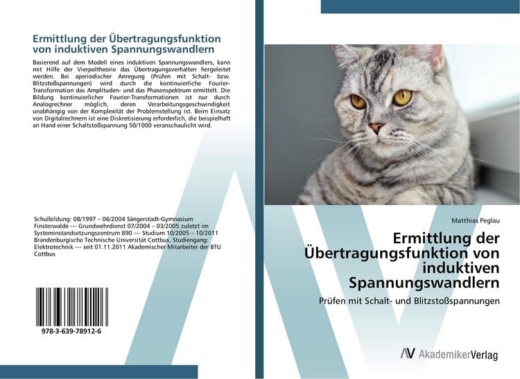 Produktbild: Ermittlung der &Uuml;bertragungsfunktion von induktiven Spannungswandlern