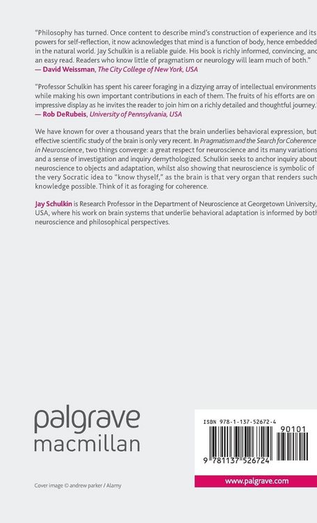 Produktbild: Pragmatism and the Search for Coherence in Neuroscience